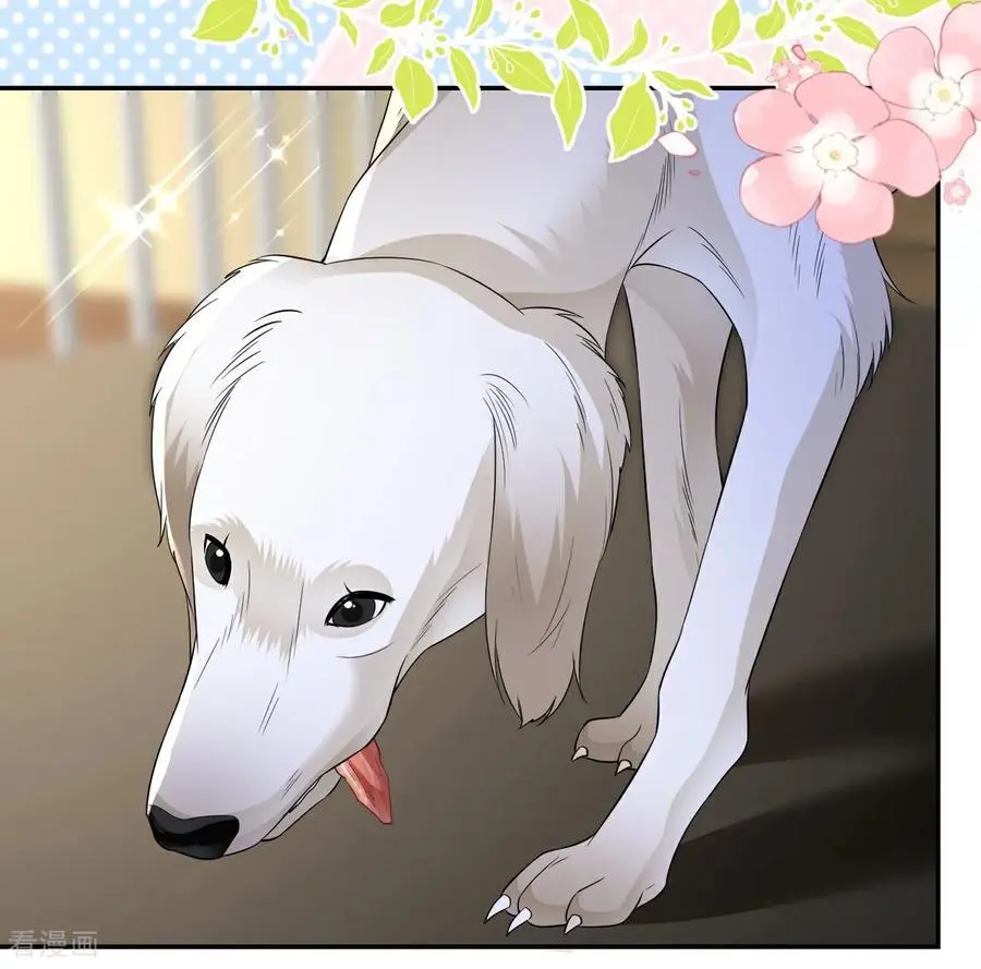 第103话 列克是细狗41