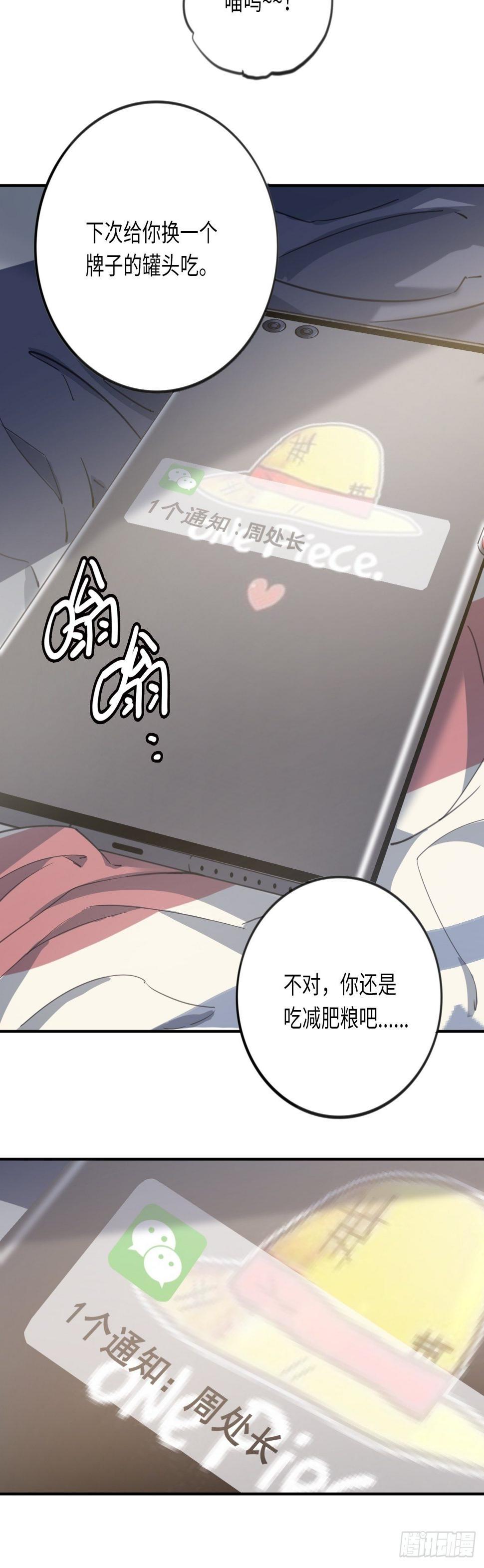 第10话 吝啬小丸子？17
