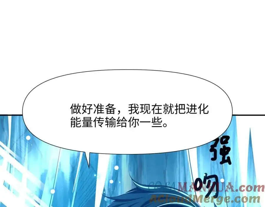 鲨鱼王12