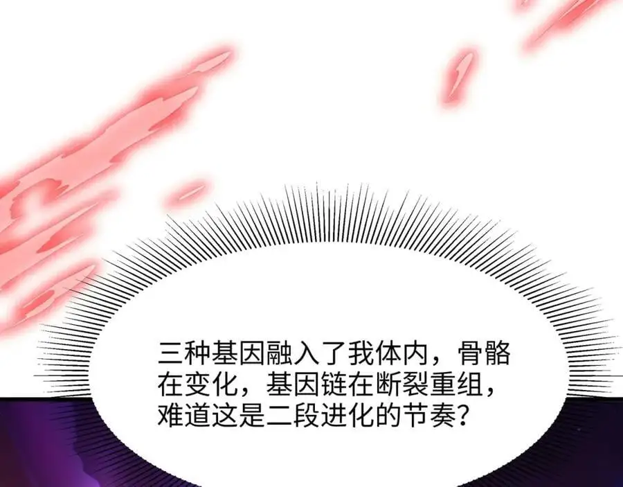 最强战斗鸡51