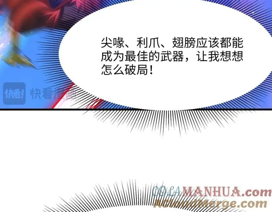 最强战斗鸡80