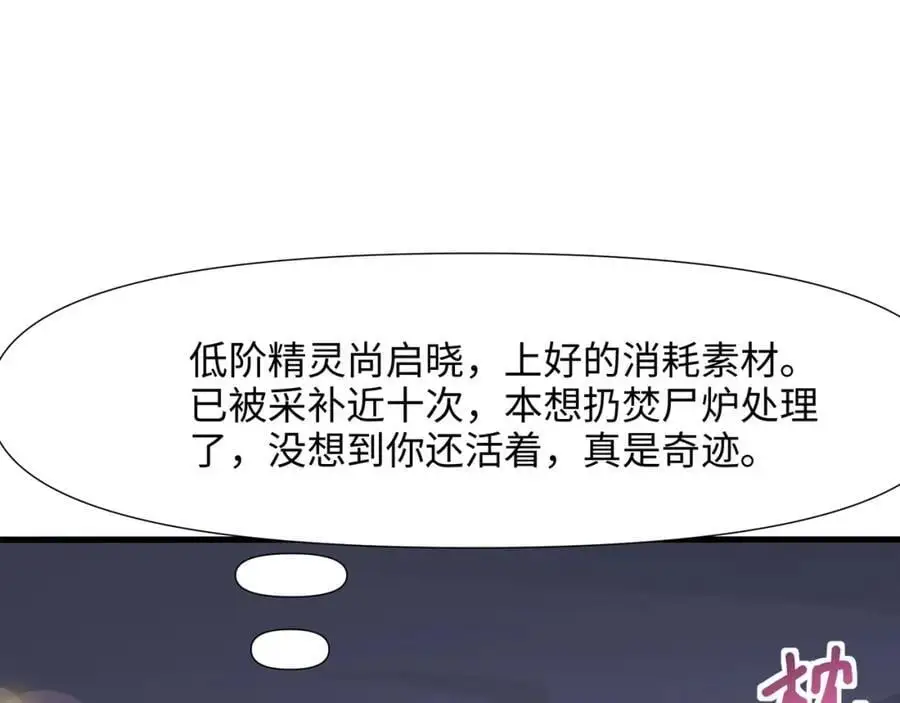 高阶精灵47