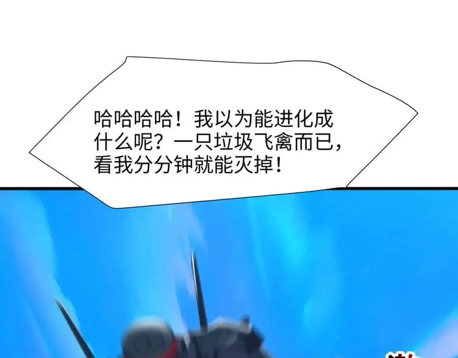 最强战斗鸡62