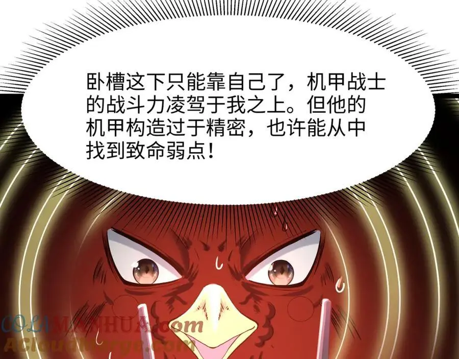 最强战斗鸡72