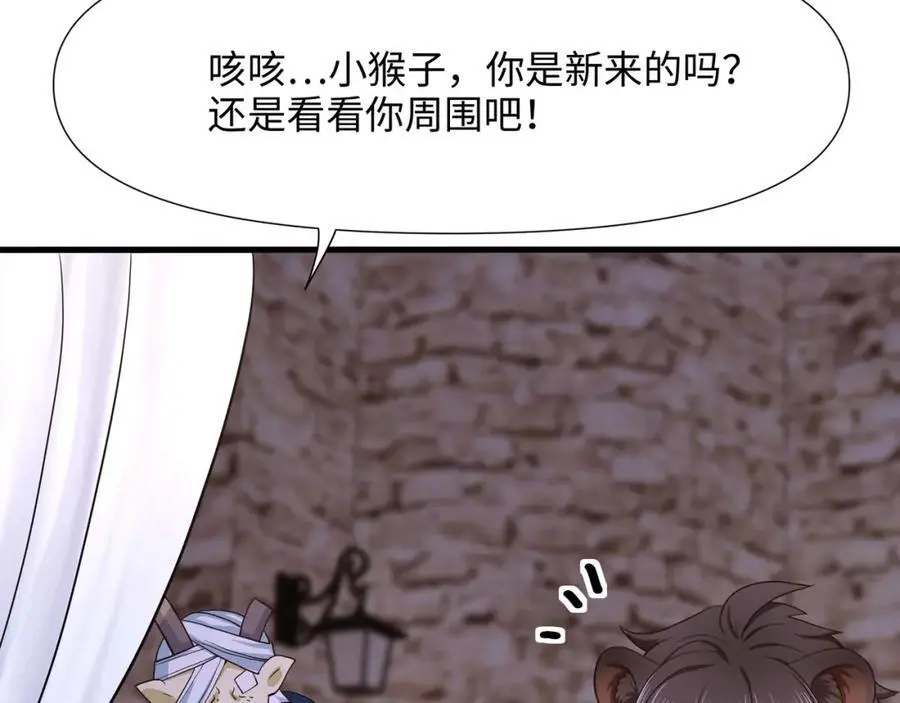 兽族择偶权31