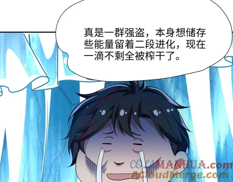 鲨鱼王28