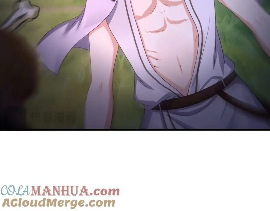 高阶精灵12