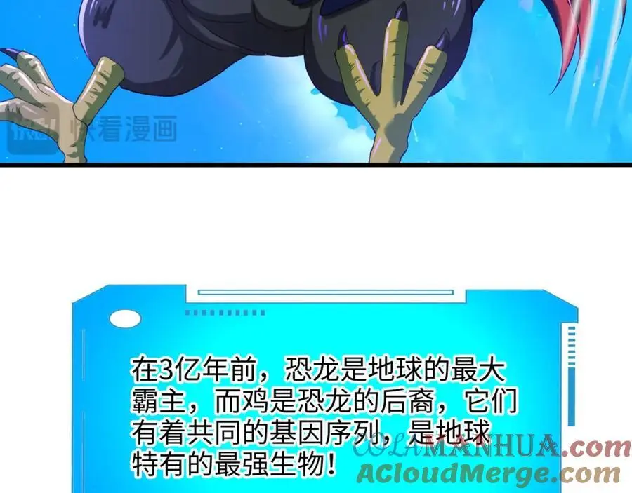 最强战斗鸡60