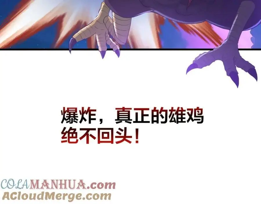 最强战斗鸡100