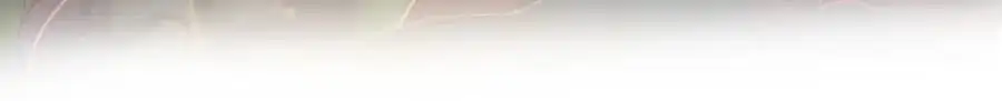 我们都可以当陪嫁90