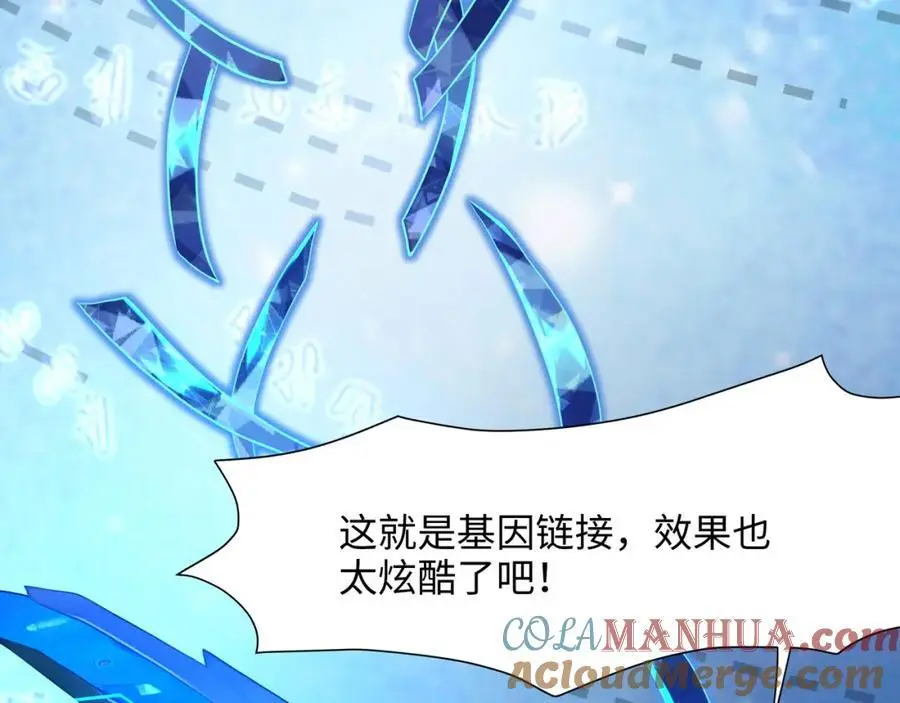 真正的合作88