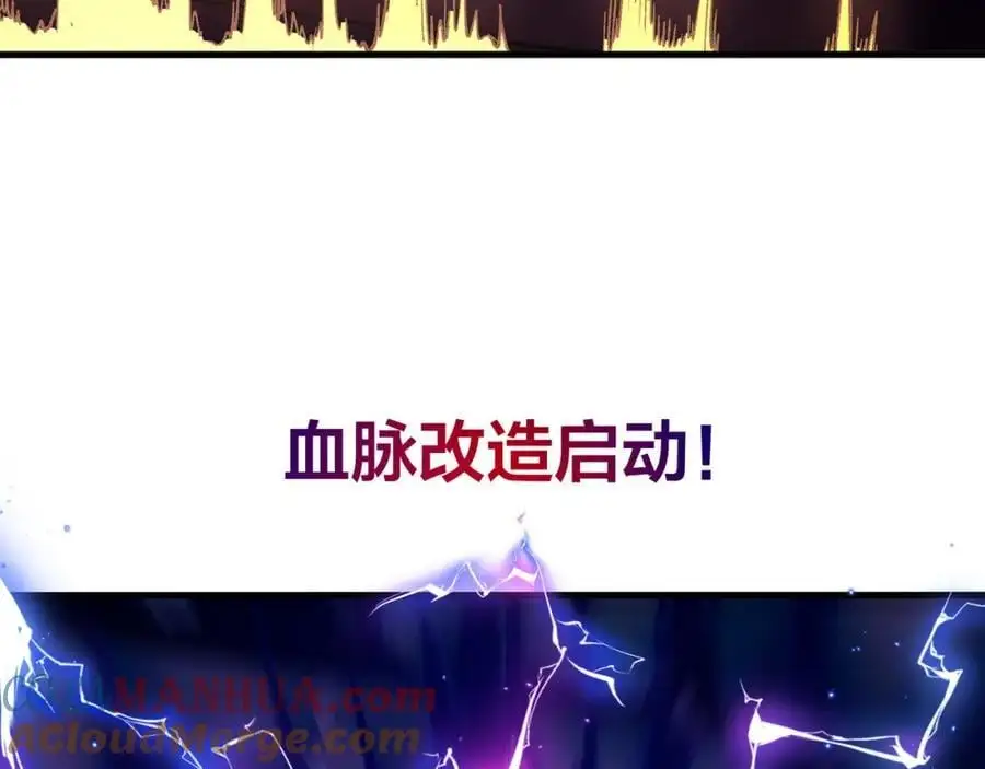 血脉改造84
