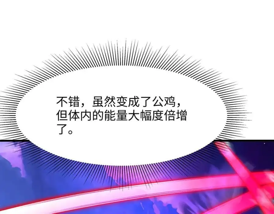 最强战斗鸡78