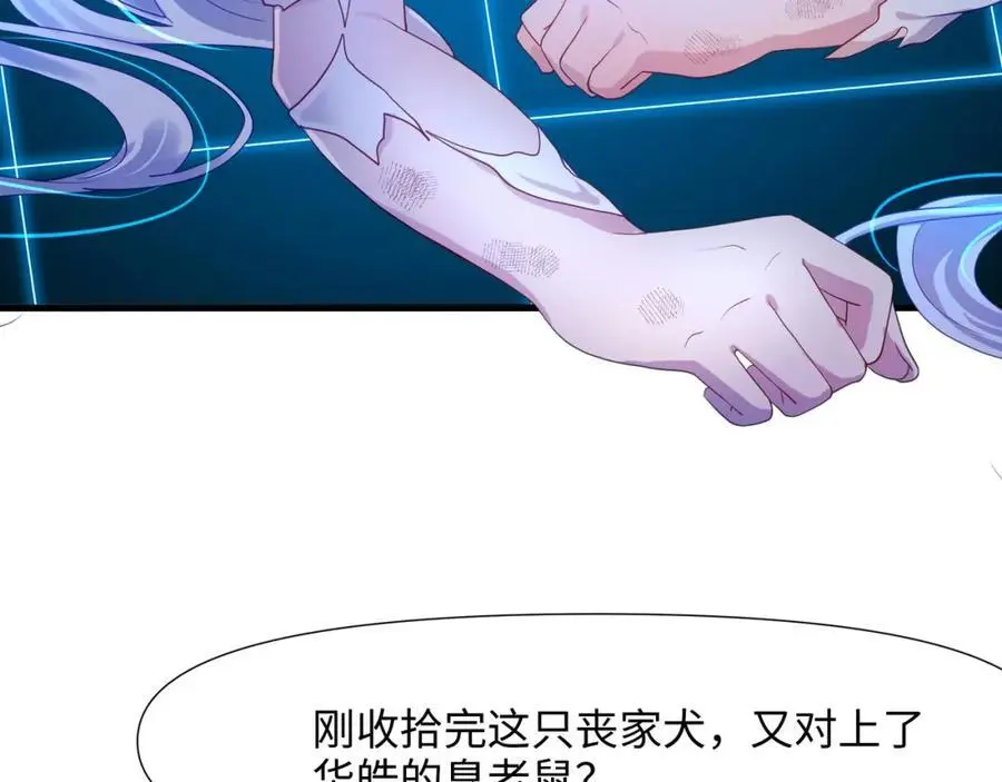 快来氪金吧95