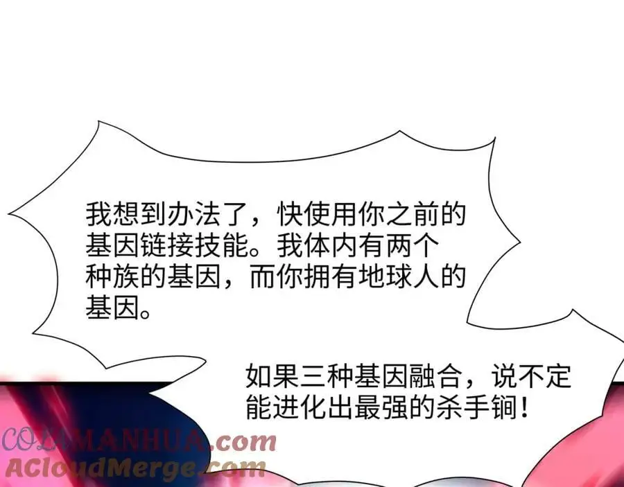 最强战斗鸡48