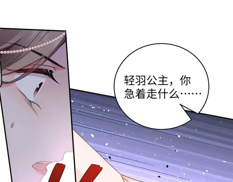 027 橘势大好46