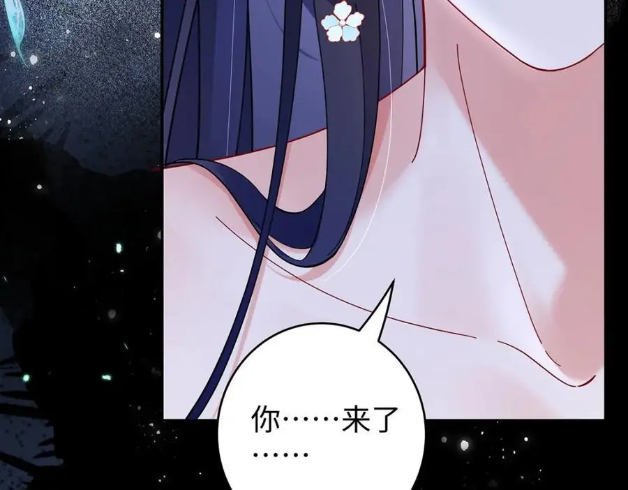 027 橘势大好101