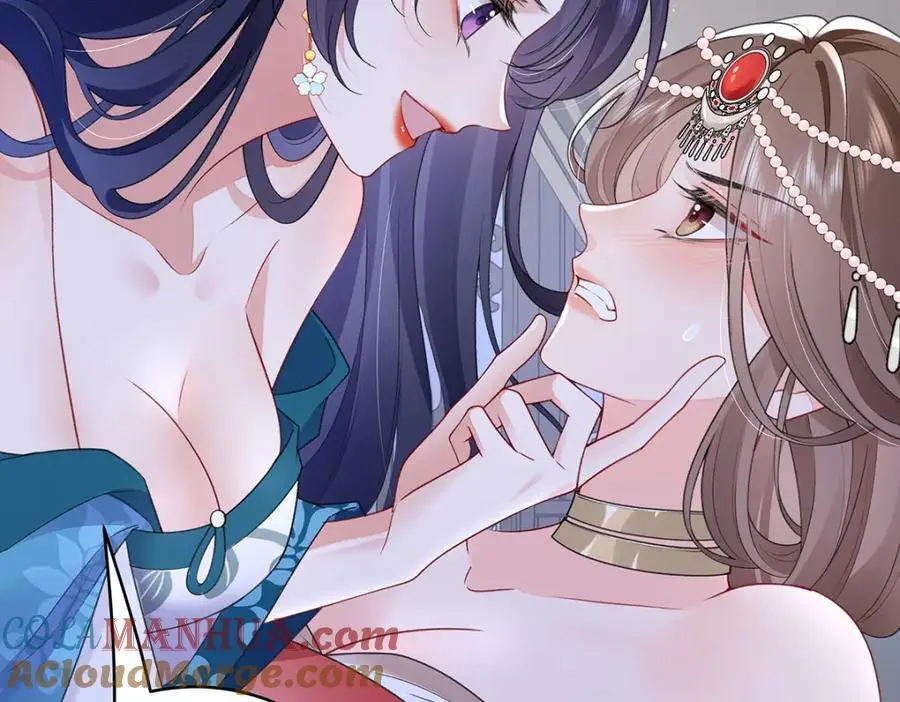 027 橘势大好56