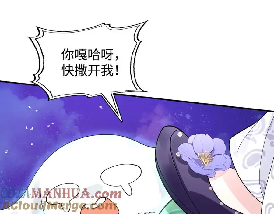 033 时旎蝶·庄周梦蝶48