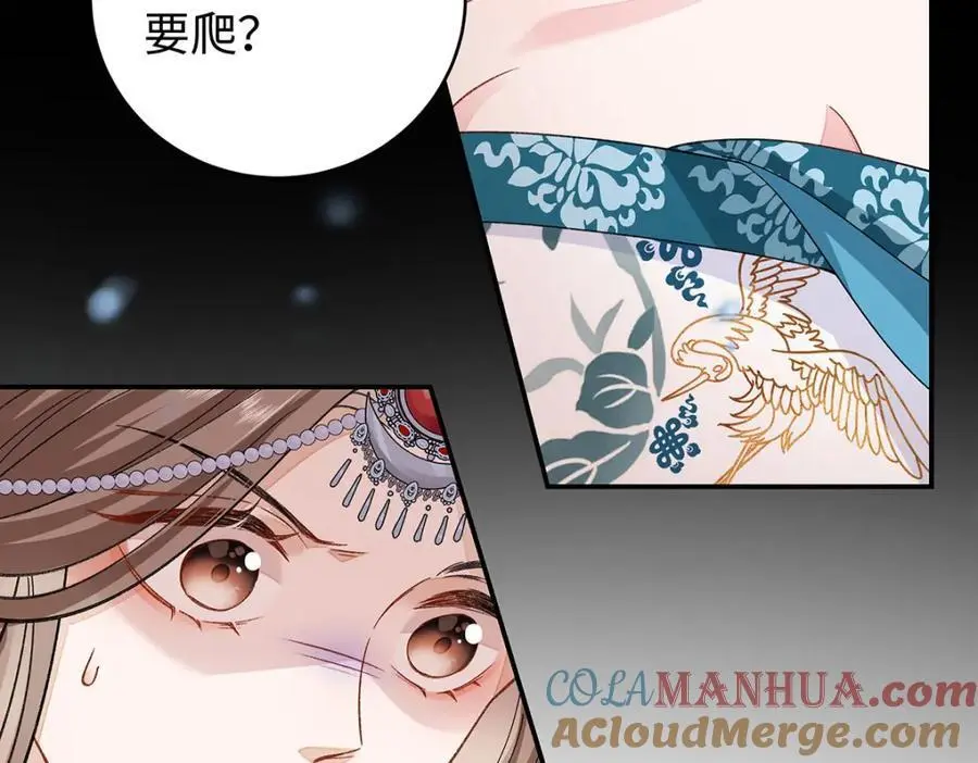 027 橘势大好28