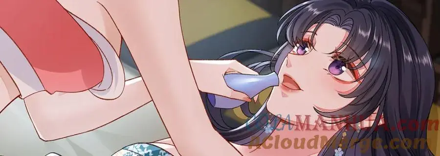 027 橘势大好24