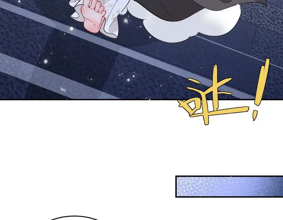 027 橘势大好82