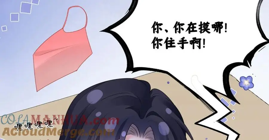 027 橘势大好72