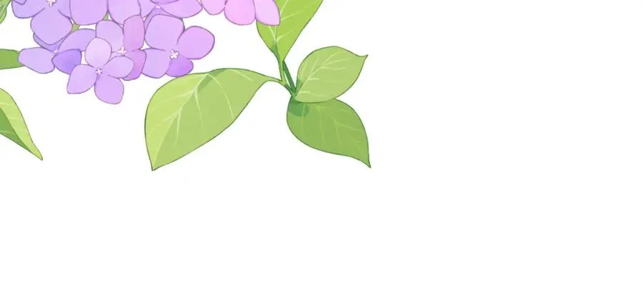 完结 戎戎和尧尧要一直幸福下去！55