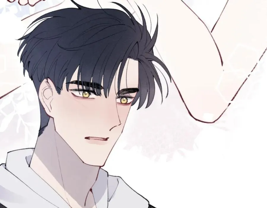 第53话 如果你是Beta就……6
