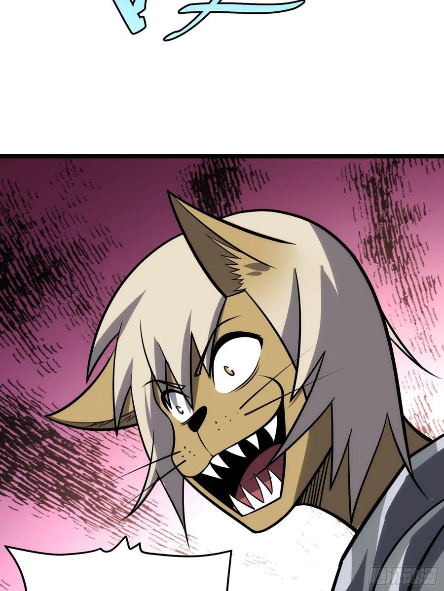 817