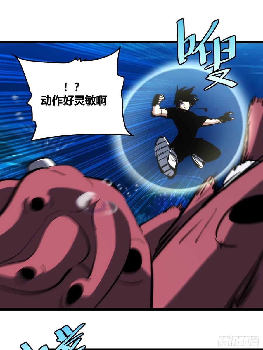 8626