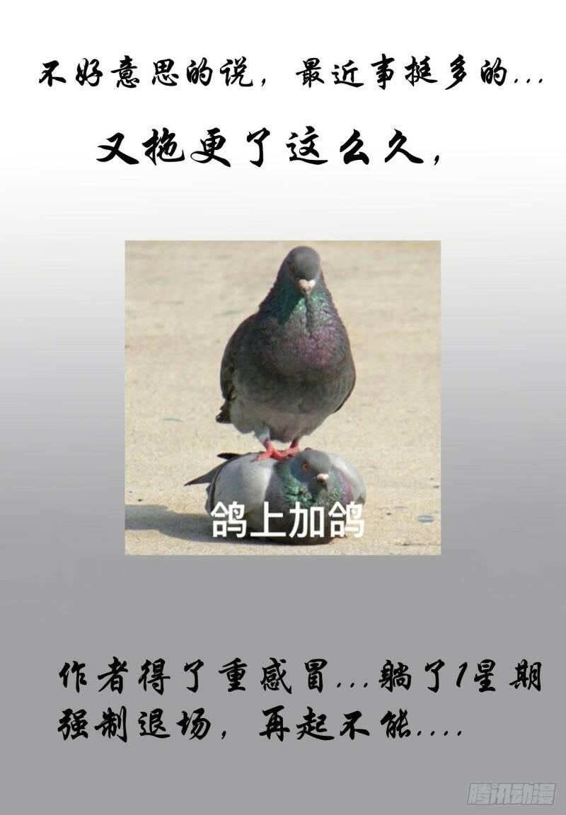 试图暗杀25