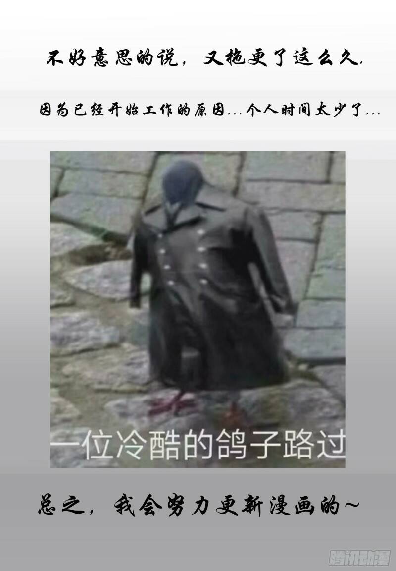 新行动13