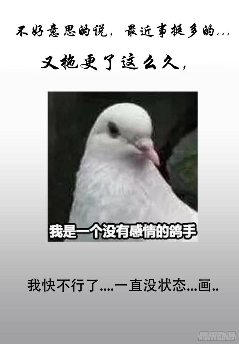 团长12