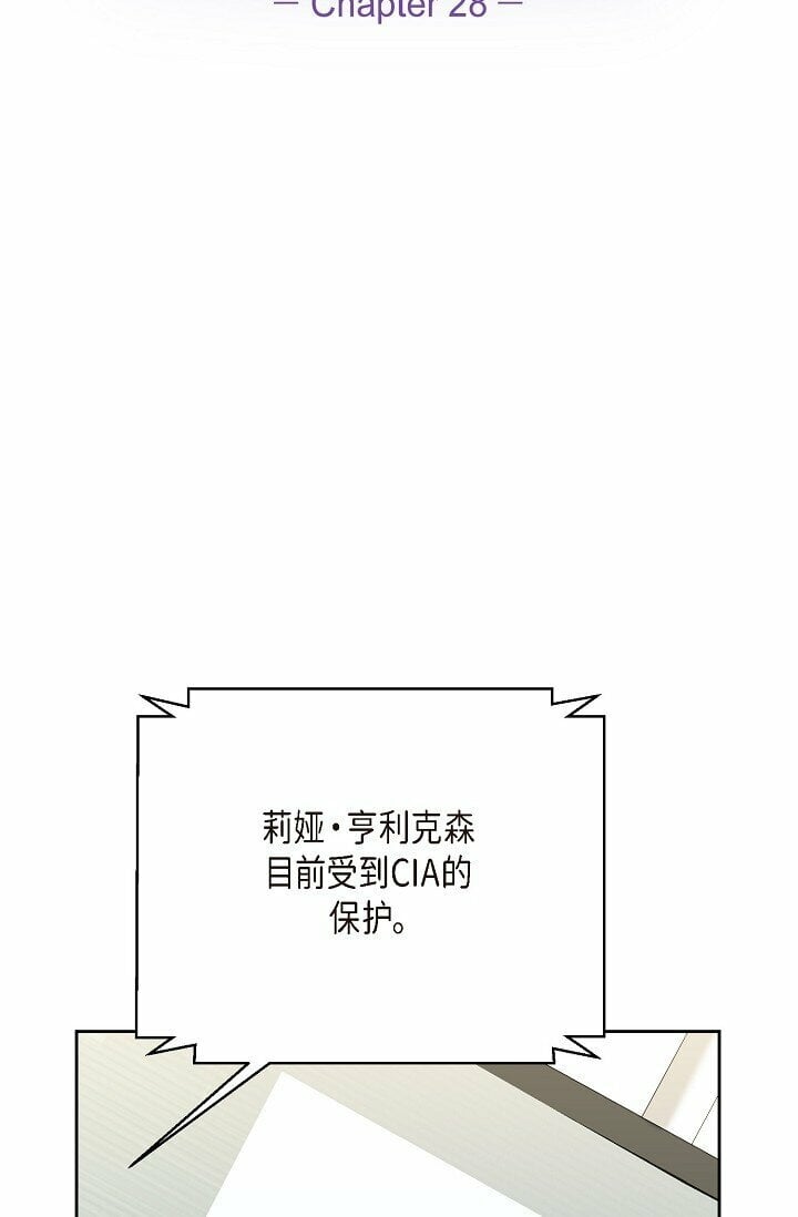 28 瑞士账户9