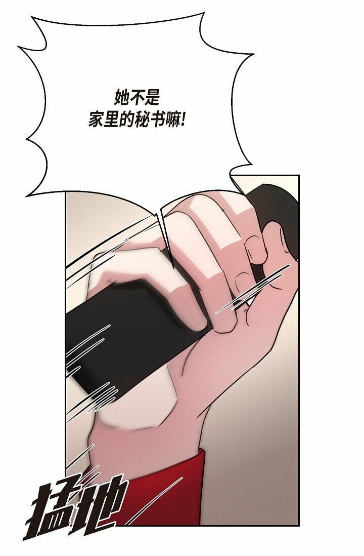 28 瑞士账户16