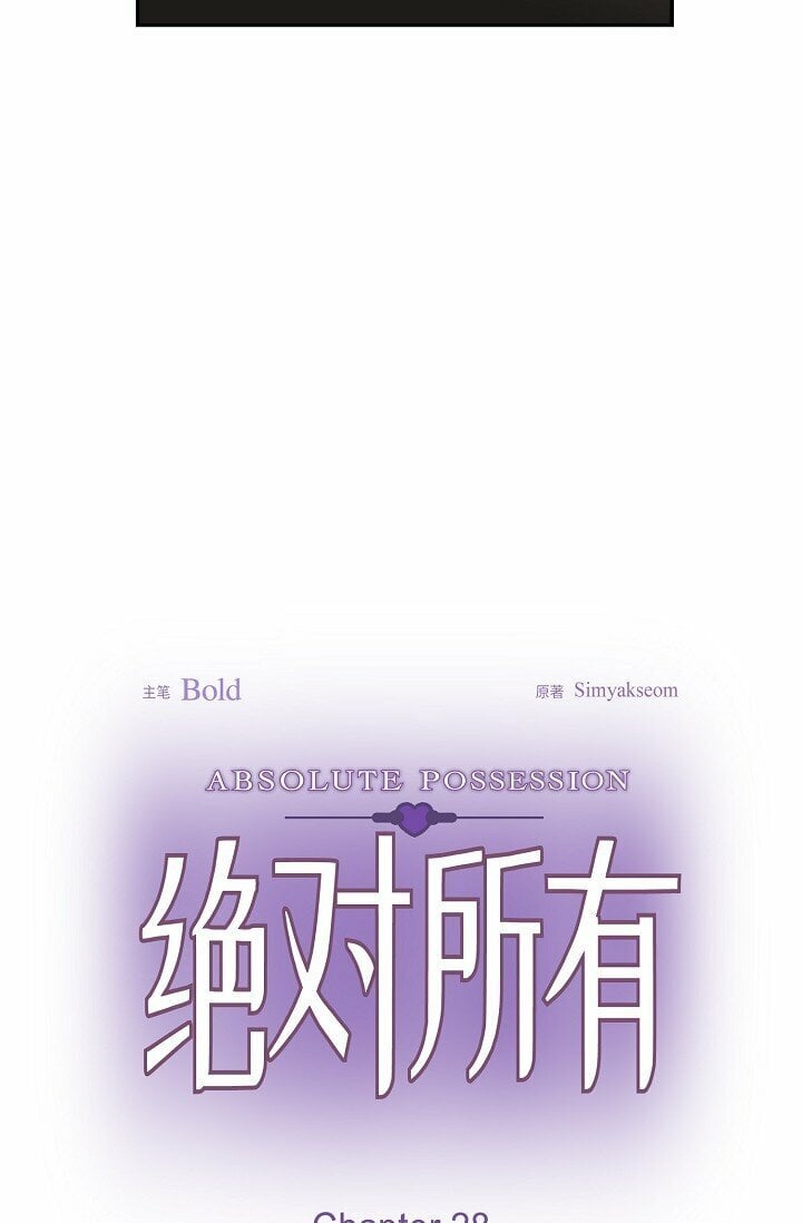 28 瑞士账户8