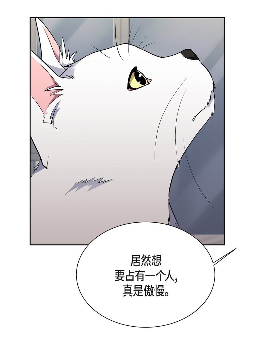 36 你在监视我吗？47