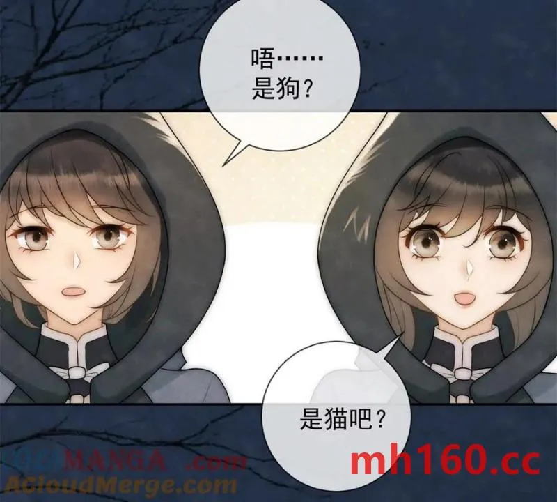 第38话 看冰灯39