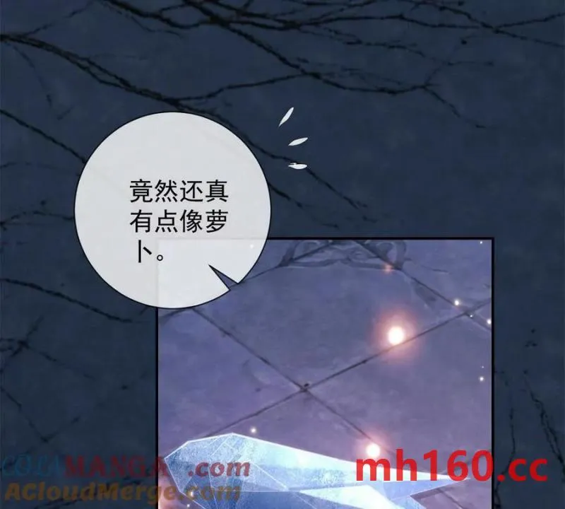 第38话 看冰灯42