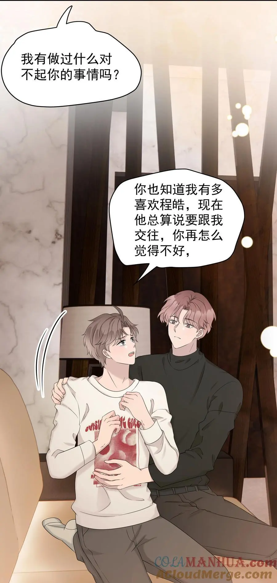 56第56话 他真的是你最喜欢的人吗？22