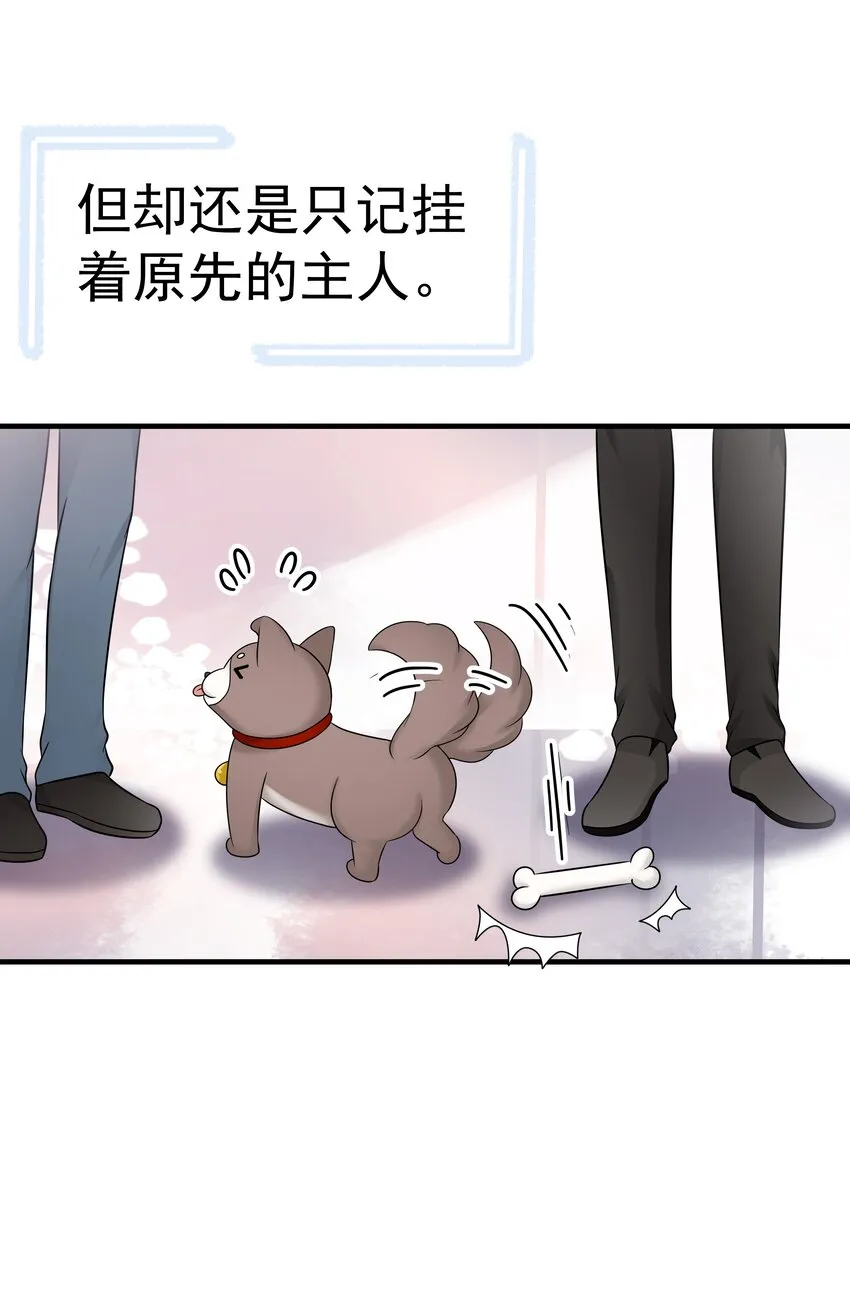 21第21话 他开始想念我，但我却不知道37