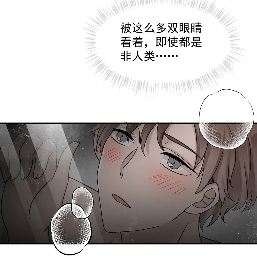 12.第12话0