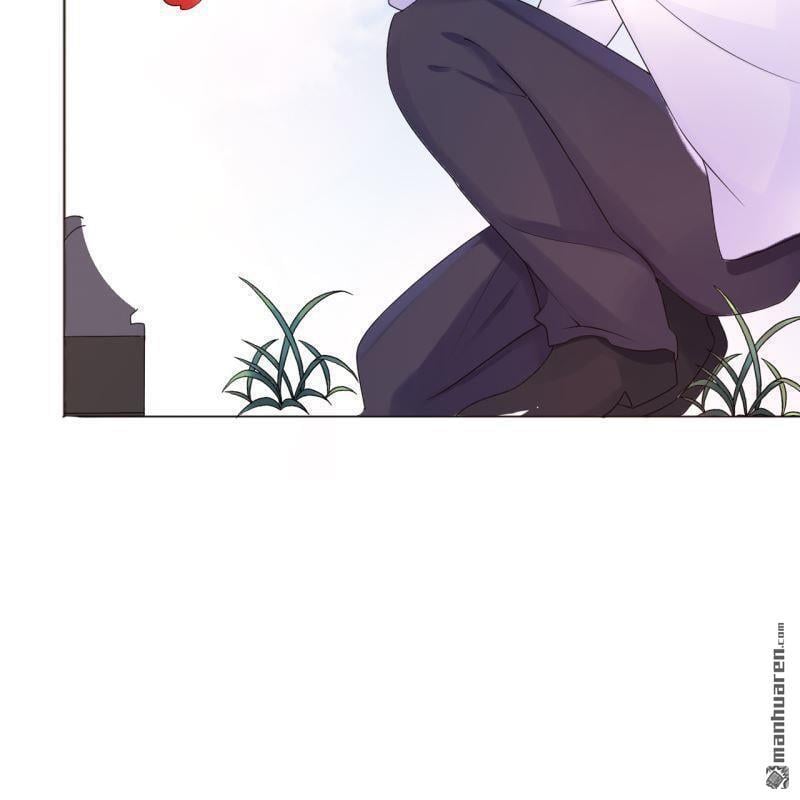 第50回41