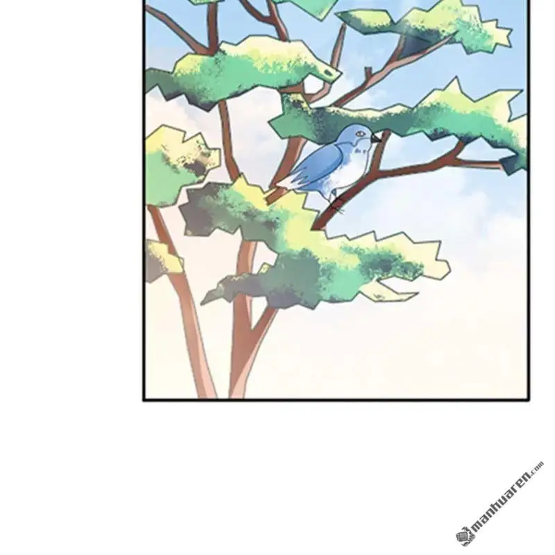 第71回40