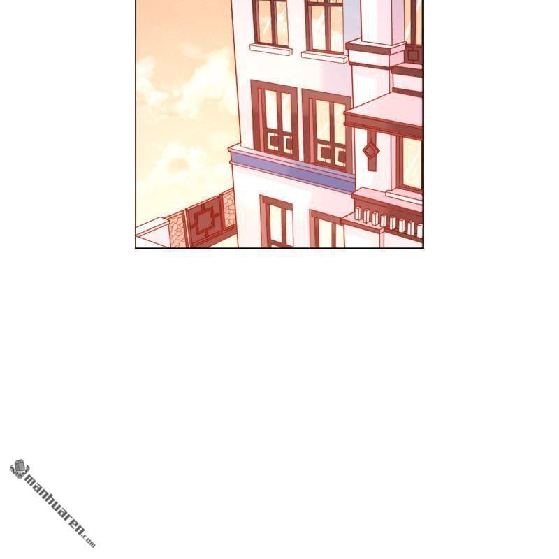 第51回51