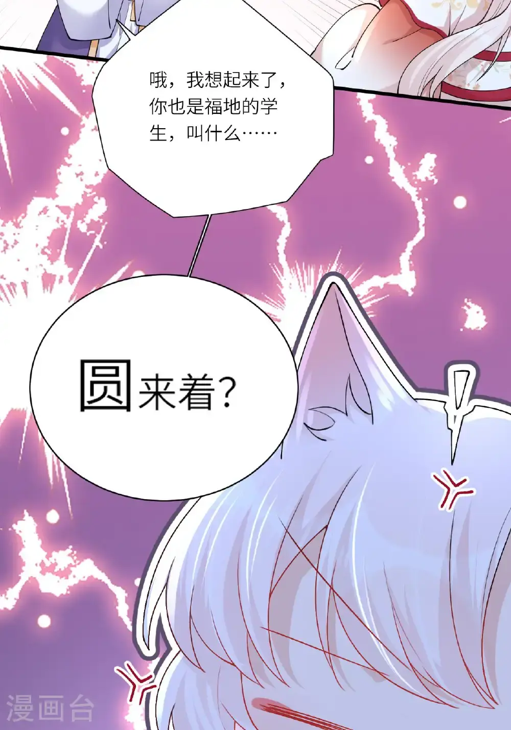 第21话 奇怪的猫猫？66