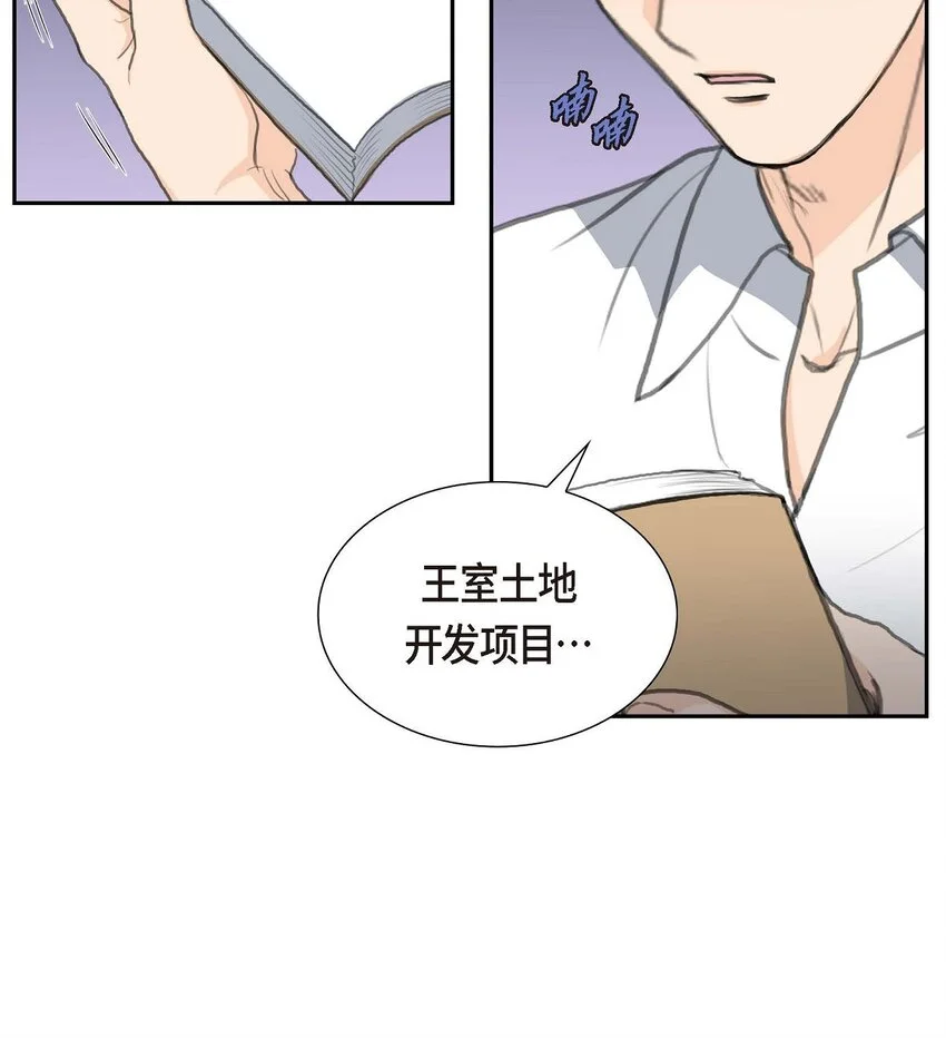 49 王室土地开发项目28