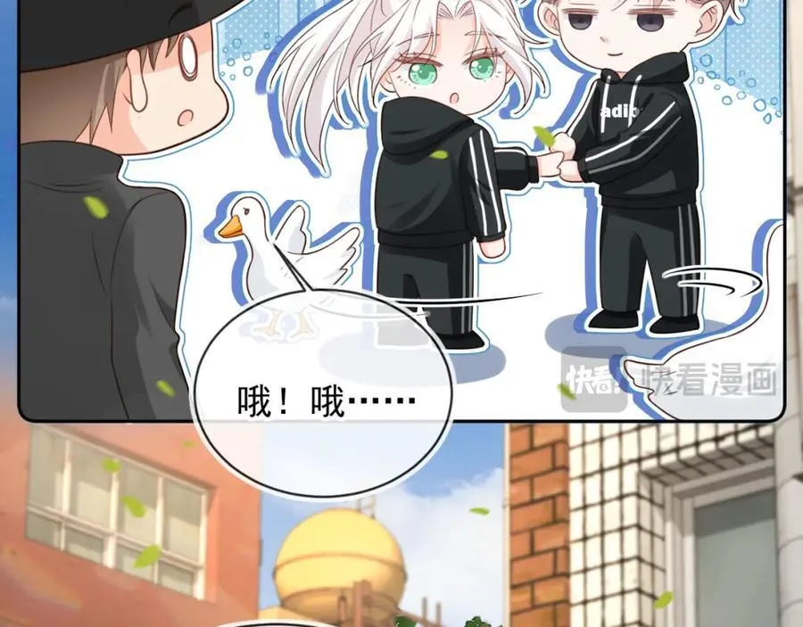 第52话：疼老婆是第一准则16