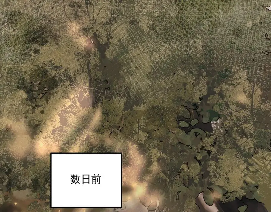 第13话 出手5